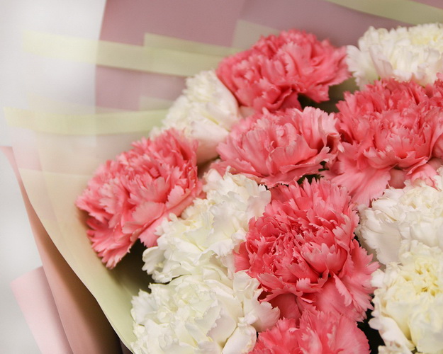 Букет із 25 рожевих та білих гвоздик у стильній упаковці.