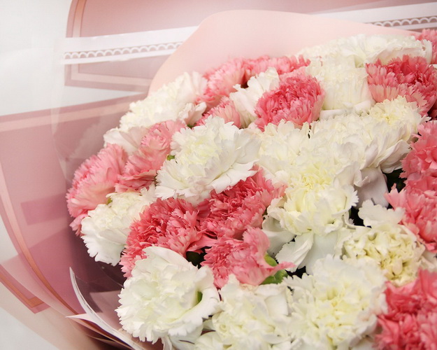 Букет із 51 рожевої та білої гвоздики у стильній упаковці.