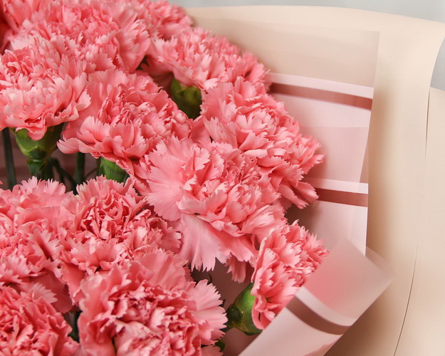 Букет із 25 рожевих гвоздик у стильній упаковці.