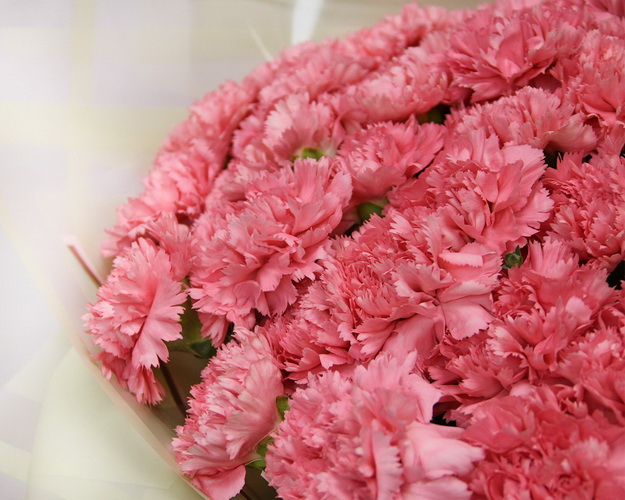 Букет із гвоздик Мрійний