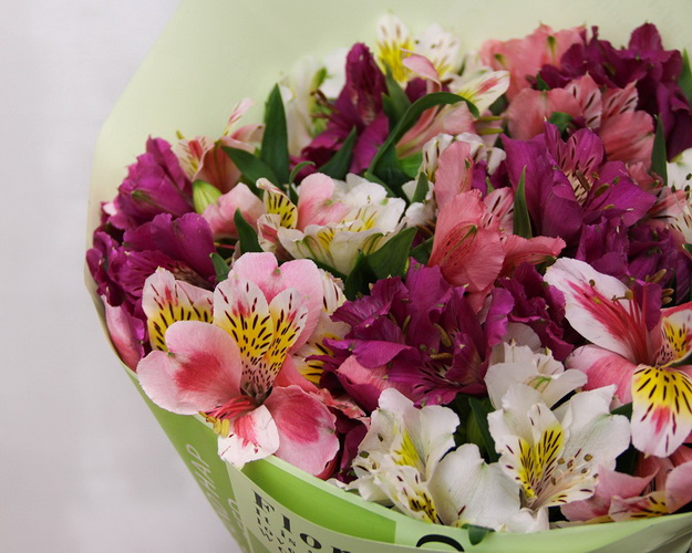 Букет альстромерій Аврора