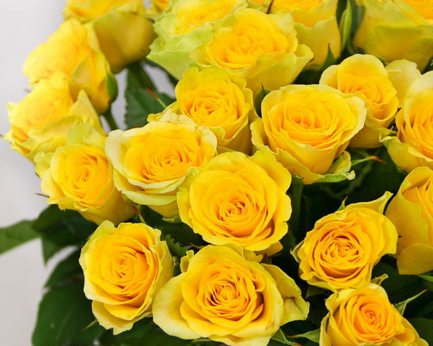 Букет із 35 жовтих троянд під стрічку