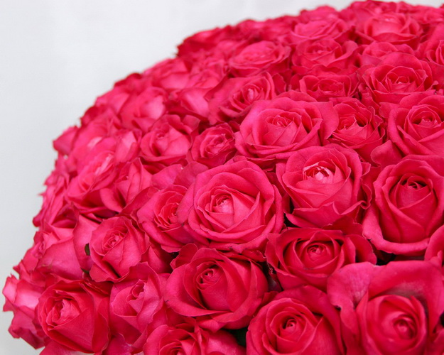 Букет із 101 малинової троянди