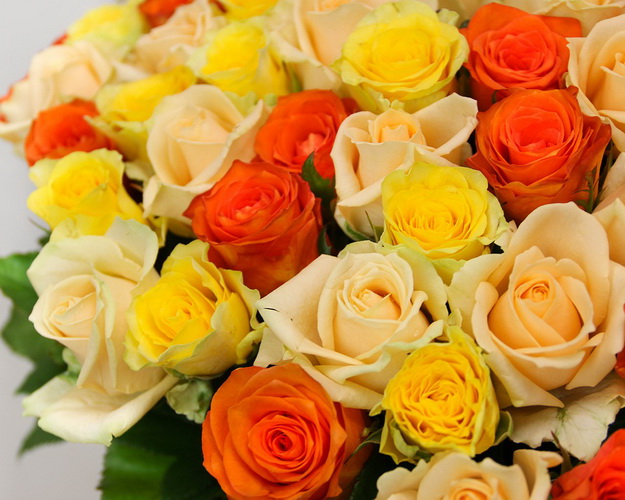 Букет із 101 троянди Полум'я