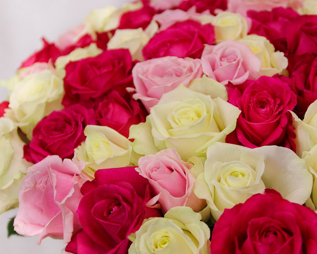 Букет зі 101 троянди Закоханість