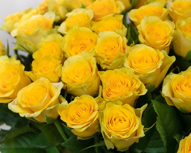 Букет із жовтих троянд Пені