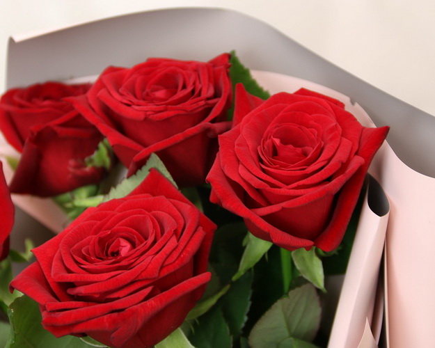 Букет із 5 червоних троянд в упакуванні