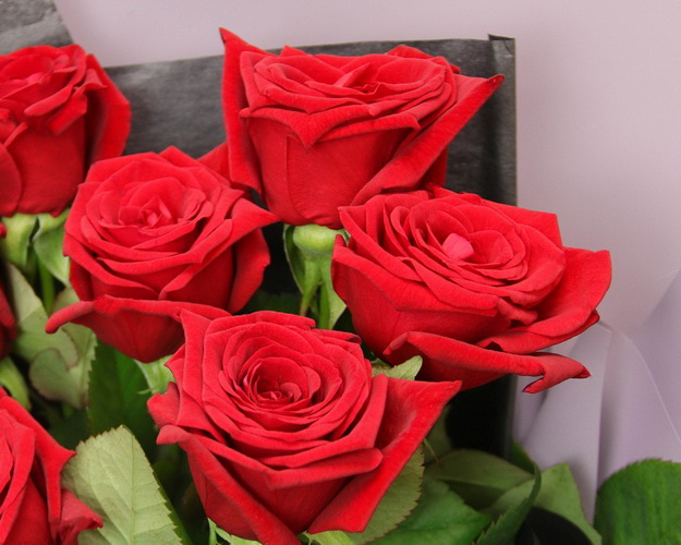 Букет із 7 червоних троянд в упакуванні