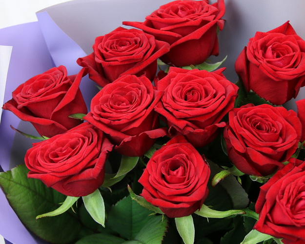 Букет з 11 троянд червоних в упакуванні
