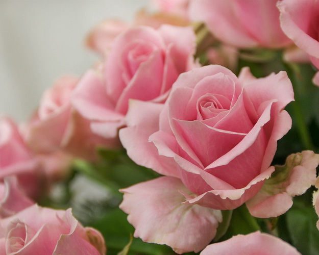 Кошик квітів Захоплення