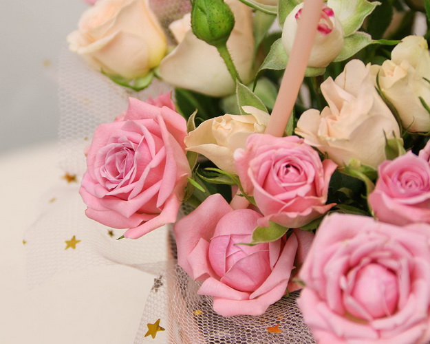 Квіти у кашпо Маленька леді