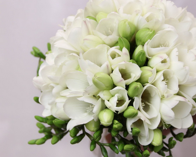 Букет нареченої Фрезія