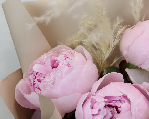 Букет з 3 рожевих півоній у стильній упаковці