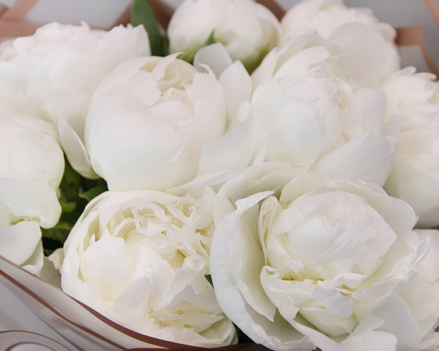 Букет з 9 білих півоній у стильній упаковці