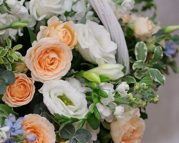 Кошик квітів Ніжний