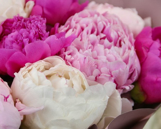 Букет з 11 півоній мікс у стильній упаковці