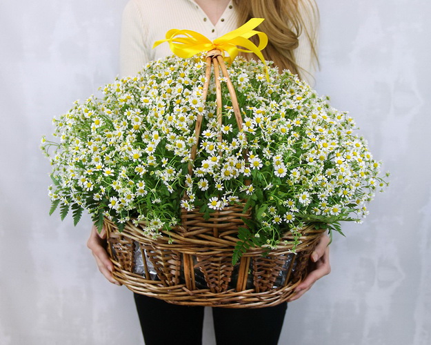 Кошик квітів Ромашкове поле