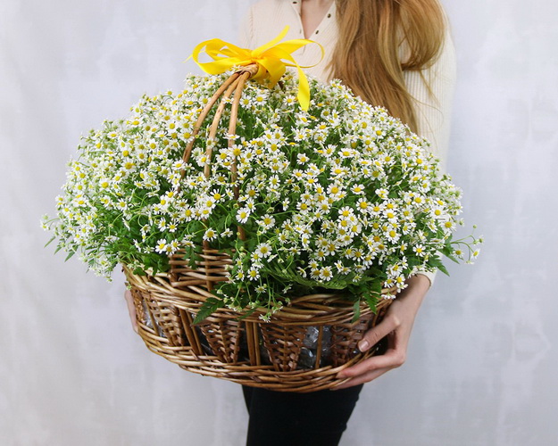 Кошик квітів Ромашкове поле
