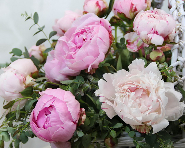 Кошик квітів Бажання