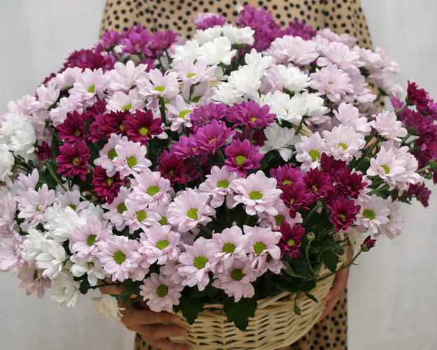 Кошик квітів Ромашкова поляна