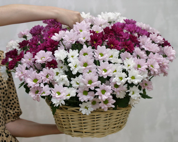 Кошик квітів Ромашкова поляна